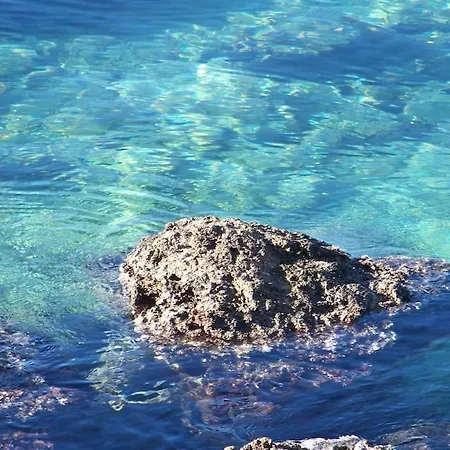 Tisno-smokva Apartmán *