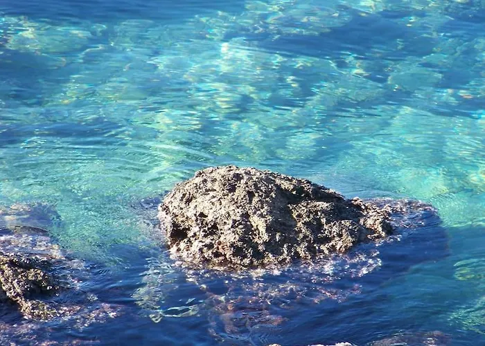 Tisno-smokva شقة *